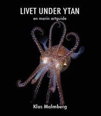 bokomslag Livet under ytan – en marin artguide