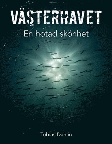 Västerhavet : en hotad skönhet