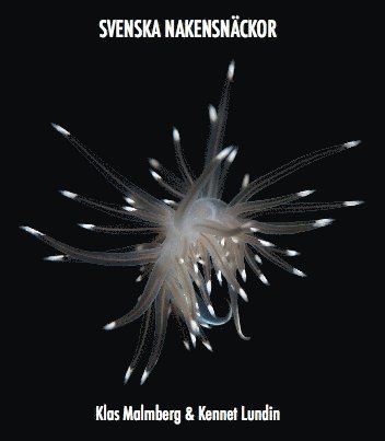 Klas Malmberg, Kennet Lundin - Nakensnäckor, Häftad