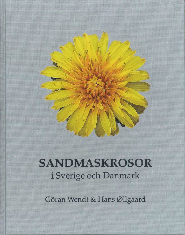 Sandmaskrosor i Sverige och Danmark 1