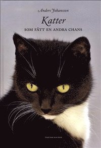 bokomslag Katter som fått en andra chans