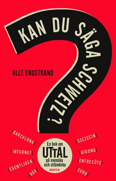 bokomslag Kan du säga Schweiz? : en bok om uttal på svenska och utländska