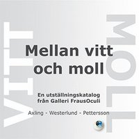bokomslag Mellan vitt och moll : en utställningskatalog från Galleri FrausOculi