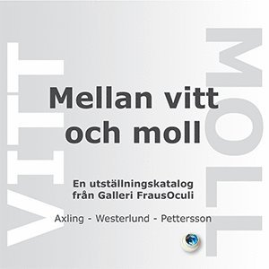 Mellan vitt och moll : en utställningskatalog från Galleri FrausOculi 1