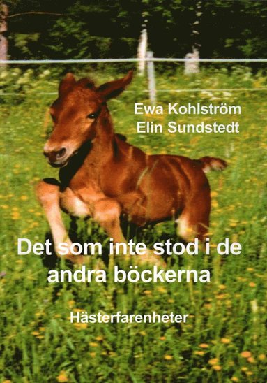 bokomslag Det som inte stod i de andra böckerna : hästerfarenheter