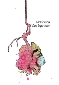 Vad ögat ser