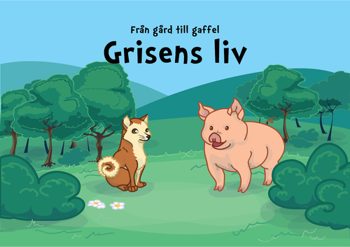 Från gård till gaffel - grisens liv