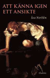 Åsa Nordén - Att känna igen ett ansikte, Häftad