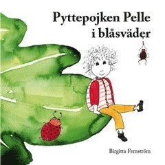 Birgitta Fernström - Pyttepojken Pelle i blåsväder : en saga för små och stora barn, Inbunden