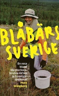 bokomslag Blåbärssverige : en resa bland bärplockare, brutna löften och framtidsdrömmar