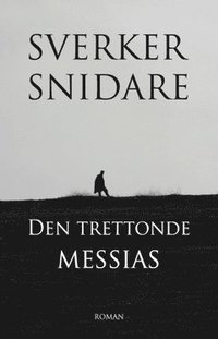 bokomslag Den Trettonde Messias