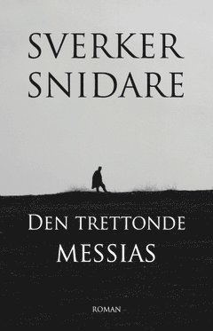 bokomslag Den trettonde Messias