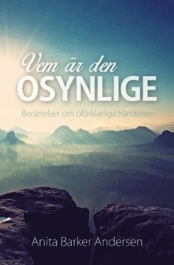 Anita Barker Andersen, Lena Rosdahl, Åse Ogenblad Larsson - Vem är den osynlige : berättelser om oförklarliga händelser, Häftad