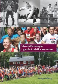 bokomslag Idrottsföreningar i gamla Ludvika kommun