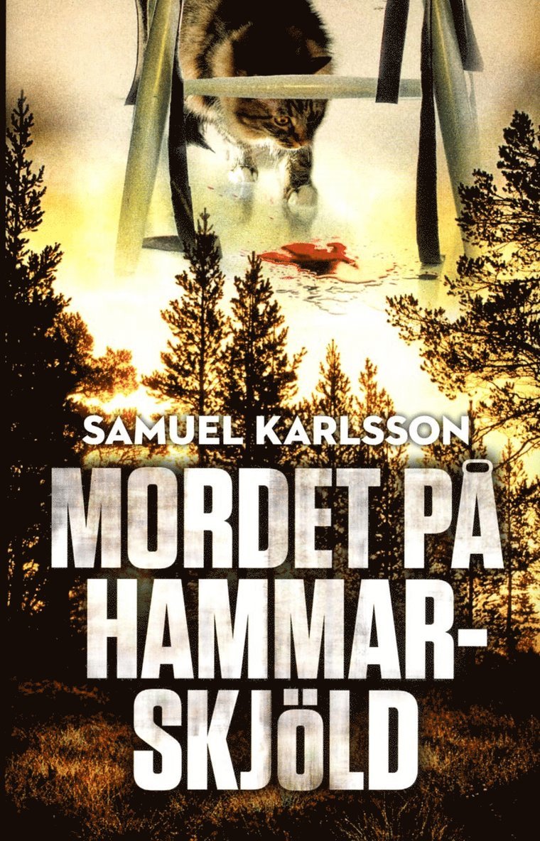 Mordet på Hammarskjöld 1