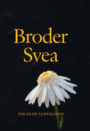 bokomslag Broder Svea