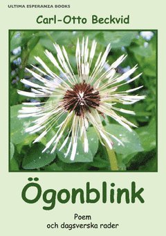 Carl-Otto Beckvid - Ögonblink : poem och dagsverska rader, Häftad