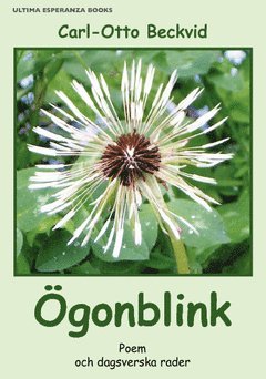 Ögonblink : poem och dagsverska rader 1