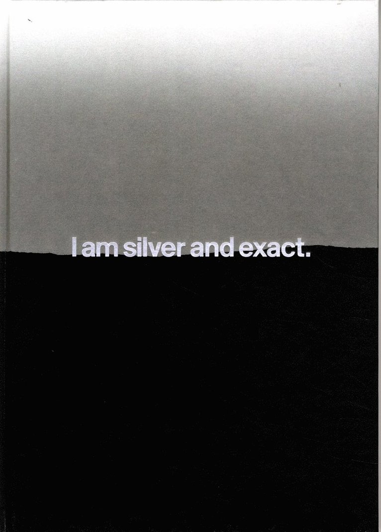 I am silver and exact Linda Hofvander 1