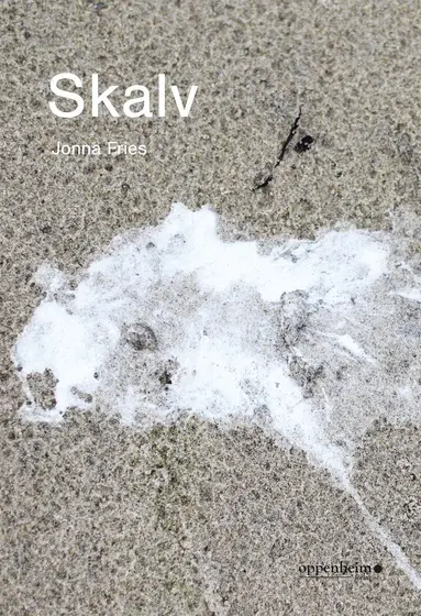 Jonna Fries - Skalv, Häftad