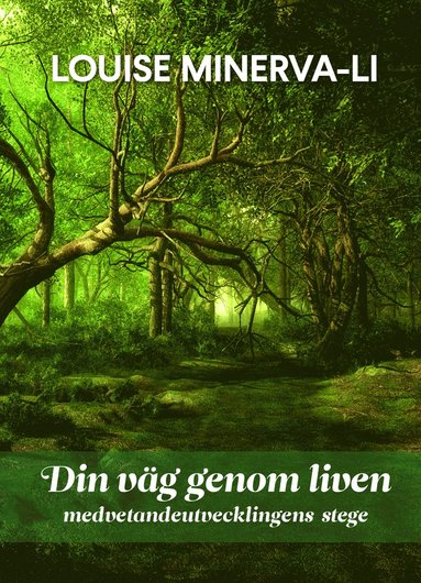 bokomslag Din väg genom liven - medvetandeutvecklingens stege