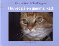 bokomslag I huvet på en gammal katt