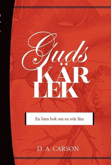 bokomslag Guds kärlek : en liten bok om en svår lära