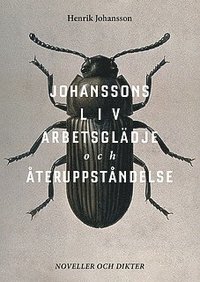 bokomslag Johanssons liv, arbetsglädje och återuppståndelse : noveller och dikter