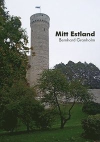 bokomslag Mitt Estland : heligt krig mellan två världskrig