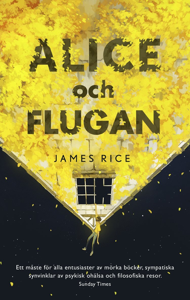 Alice och Flugan 1