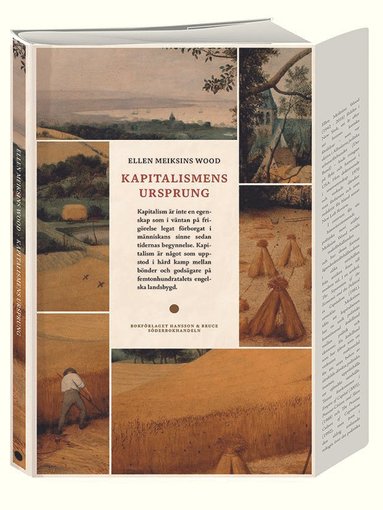 bokomslag Kapitalismens ursprung