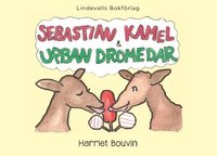 bokomslag Sebastian Kamel & Urban Dromedar