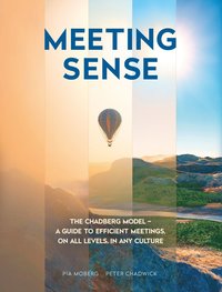 bokomslag Meeting sense : the Chadberg Model - a guide to efficient meetings, on all levels, in any culture