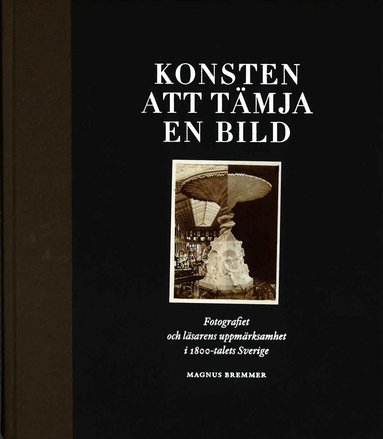 Magnus Brenner - Konsten att tämja en bild, Inbunden
