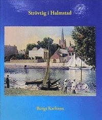 bokomslag Strövtåg i Halmstad