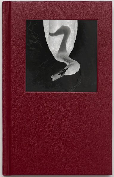 Jerker Andersson - Animal Diary, Inbunden