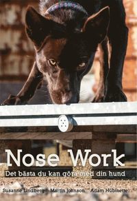 bokomslag Nose Work-Det bästa du kan göra med din hund