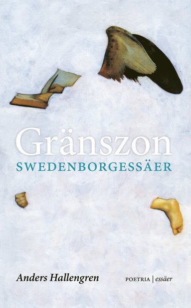 bokomslag Gränszon : Swedenborgessäer