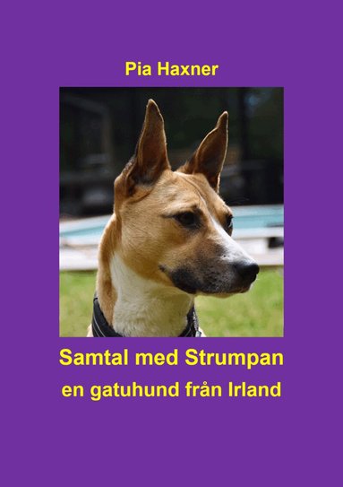 Pia Haxner - Samtal med Strumpan : en gatuhund från Irland, Inbunden