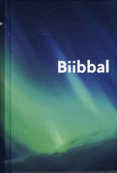 bokomslag Biibbal