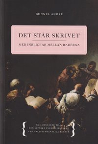 bokomslag Det står skrivet : med inblickar mellan raderna - Kommentarer till den svenska evangeliebokens gammaltestamentliga texter