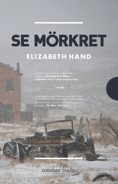 Elizabeth Hand - Se mörkret, Storpocket