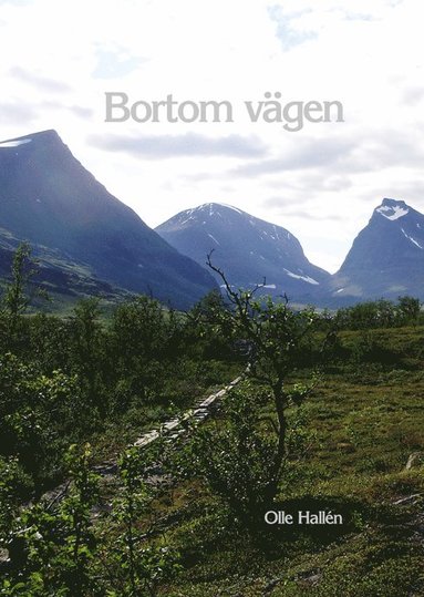 bokomslag Bortom vägen