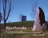 bokomslag Bjurhovda : de första fyra tusen åren - från stenåldersboplats till miljonprogramområde