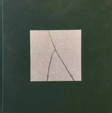 Julian Birbrajer, Helga Krook, Jenny White - Brott, Inbunden