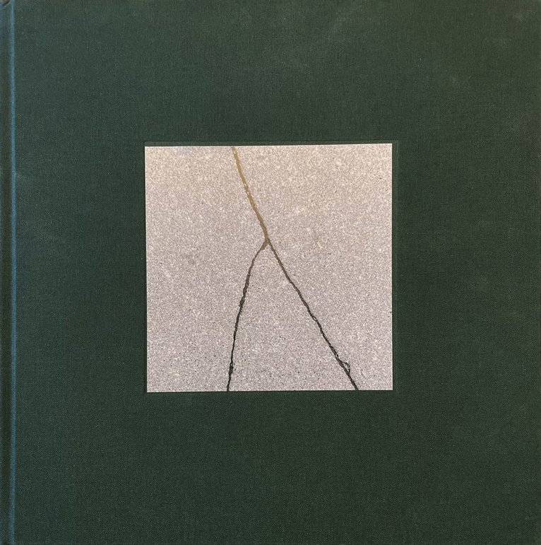 Julian Birbrajer, Helga Krook, Jenny White - Brott, Inbunden