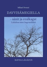 bokomslag Davvisámegiella - sánit ja cealkagat : Láidehus sámi lingvistihkkii