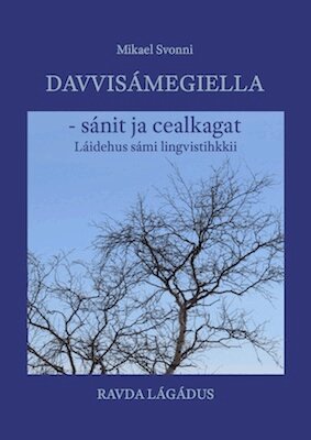 Mikael Svonni - Davvisámegiella - sánit ja cealkagat : Láidehus sámi lingvistihkkii, Häftad