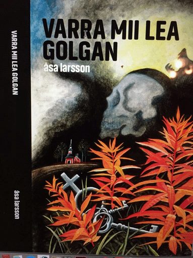 Åsa Larsson - Varra mii lea golgan, Kartonnage
