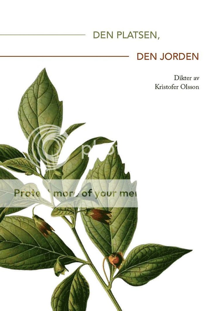 Den platsen, den jorden